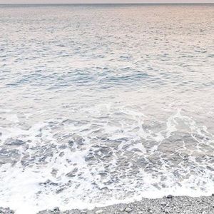 Meet your Posher, Lucy